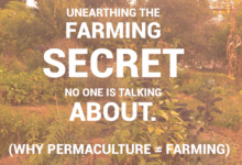 I Wish I Understood this Before I Started Farming! (Why Permaculture ≠ Farming)