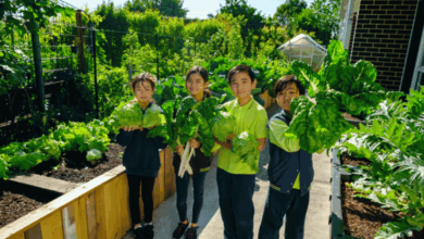 Grants and Funding Opportunities for Schools In 2025