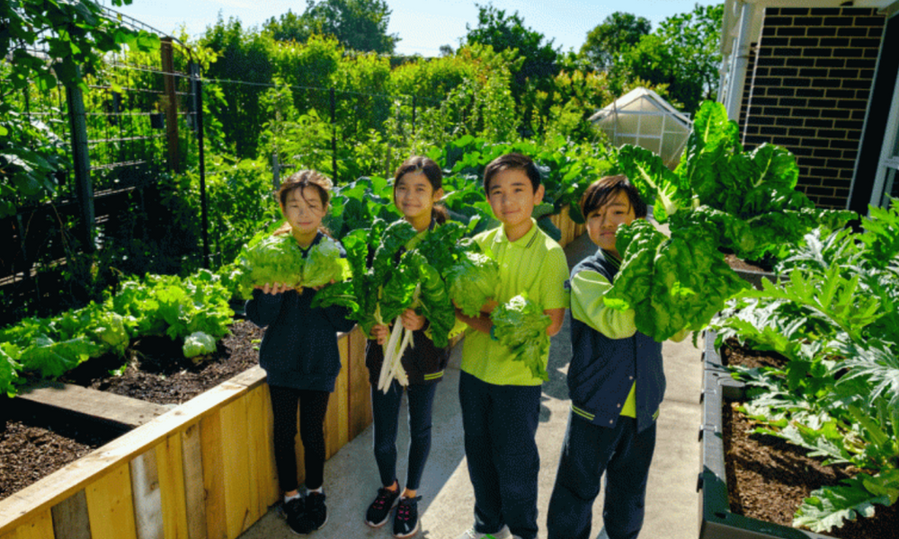 Grants and Funding Opportunities for Schools In 2025 Grants and Funding Opportunities for Schools In 2025