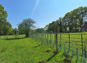 New Forest nature project helping species thrive 