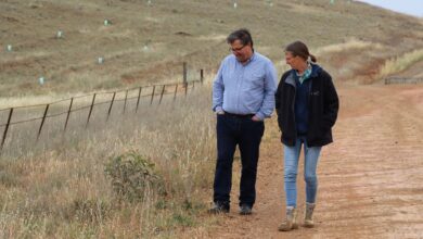 Australian farmers can increase income while tackling climate change