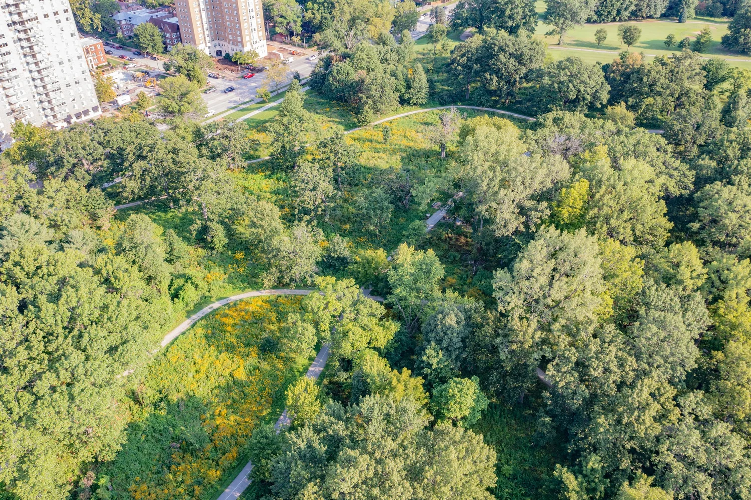 A Restoration Success Story — Forest Park Forever A Restoration Success Story — Forest Park Forever