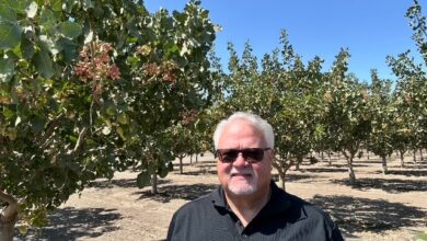 Dale Nicol on Syngenta, Farming Challenges, and Feeding the World