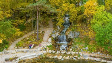 Your 2023 Seasonal Guide to Fall in Forest Park — Forest Park Forever