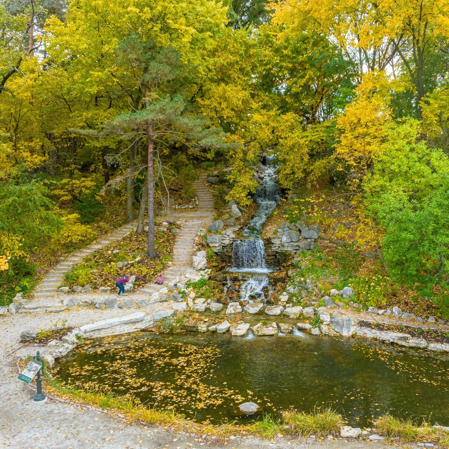 Your 2023 Seasonal Guide to Fall in Forest Park — Forest Park Forever Your 2023 Seasonal Guide to Fall in Forest Park — Forest Park Forever