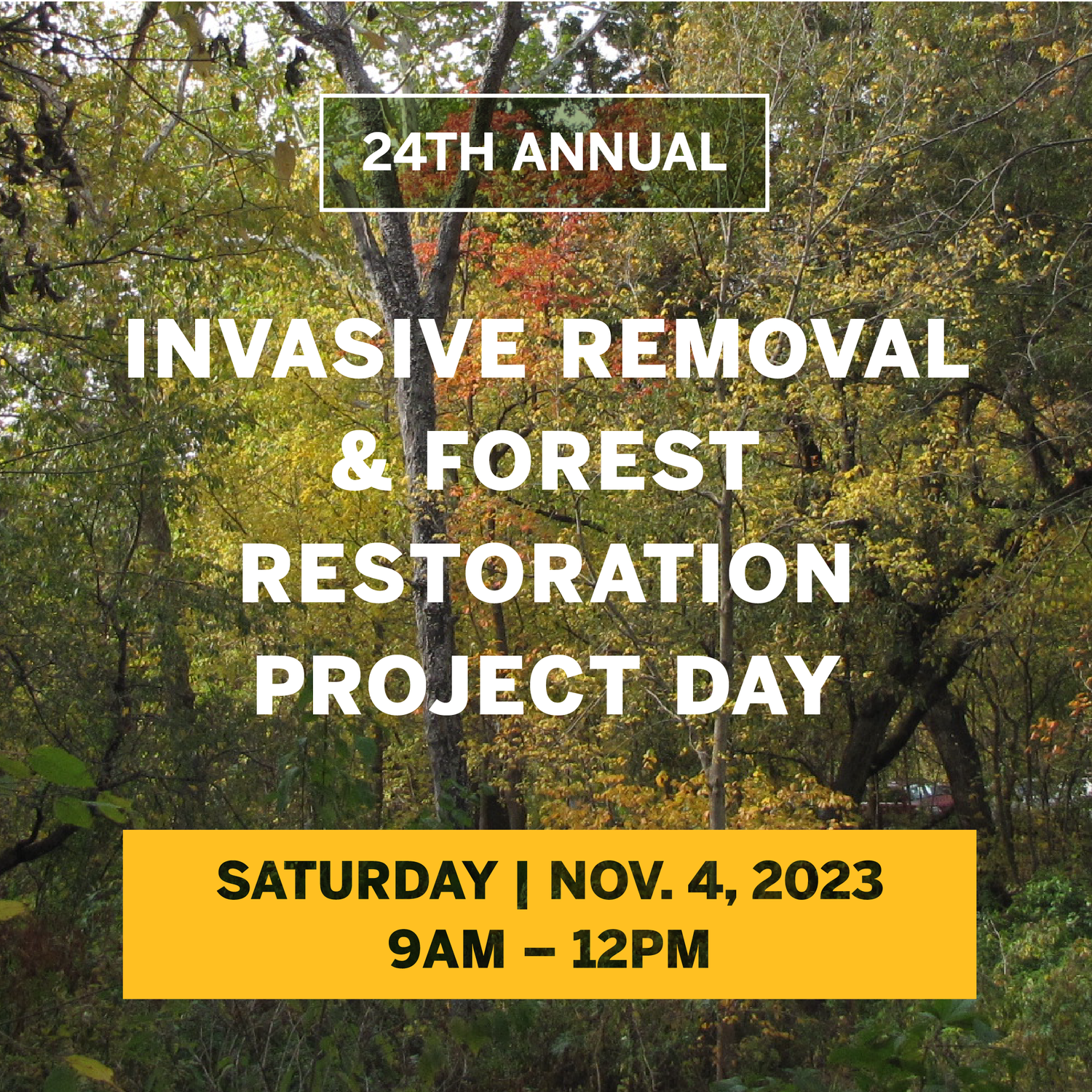 Removing Invasive Plant Species Helps Restore Kennedy Forest — Forest Park Forever Removing Invasive Plant Species Helps Restore Kennedy Forest — Forest Park Forever