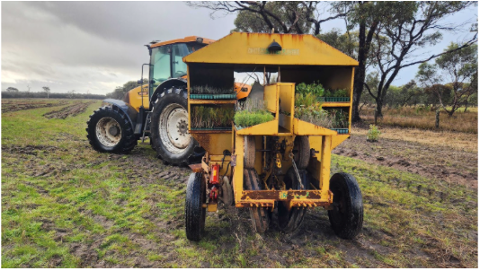 A month of Tree Planting — Dirty Clean Food A month of Tree Planting — Dirty Clean Food