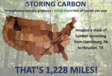 Central Pennsylvania Forestry: Storing and Sequestering Carbon: Pennsylvania’s Forest Resource