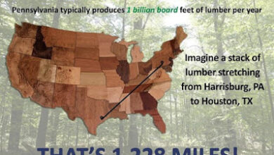 Central Pennsylvania Forestry: Storing and Sequestering Carbon: Pennsylvania’s Forest Resource
