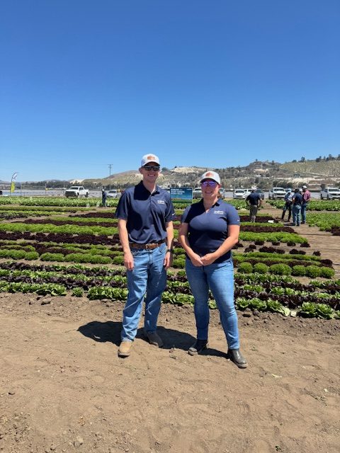 Advancing Lettuce and Melon Varieties in Salinas Advancing Lettuce and Melon Varieties in Salinas
