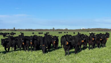 The future of ag-tech: reflections on four decades of innovation