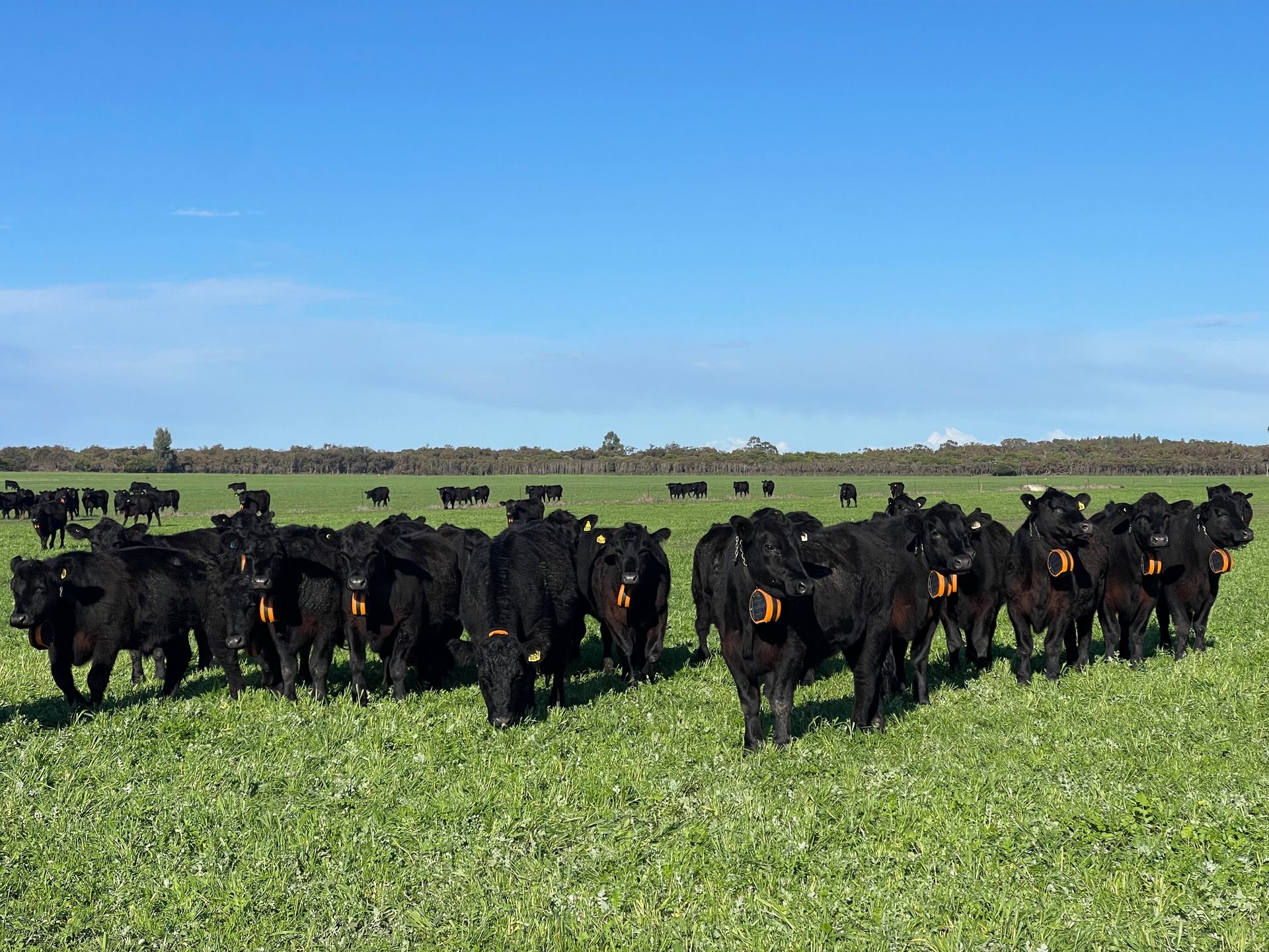 The future of ag-tech: reflections on four decades of innovation The future of ag-tech: reflections on four decades of innovation