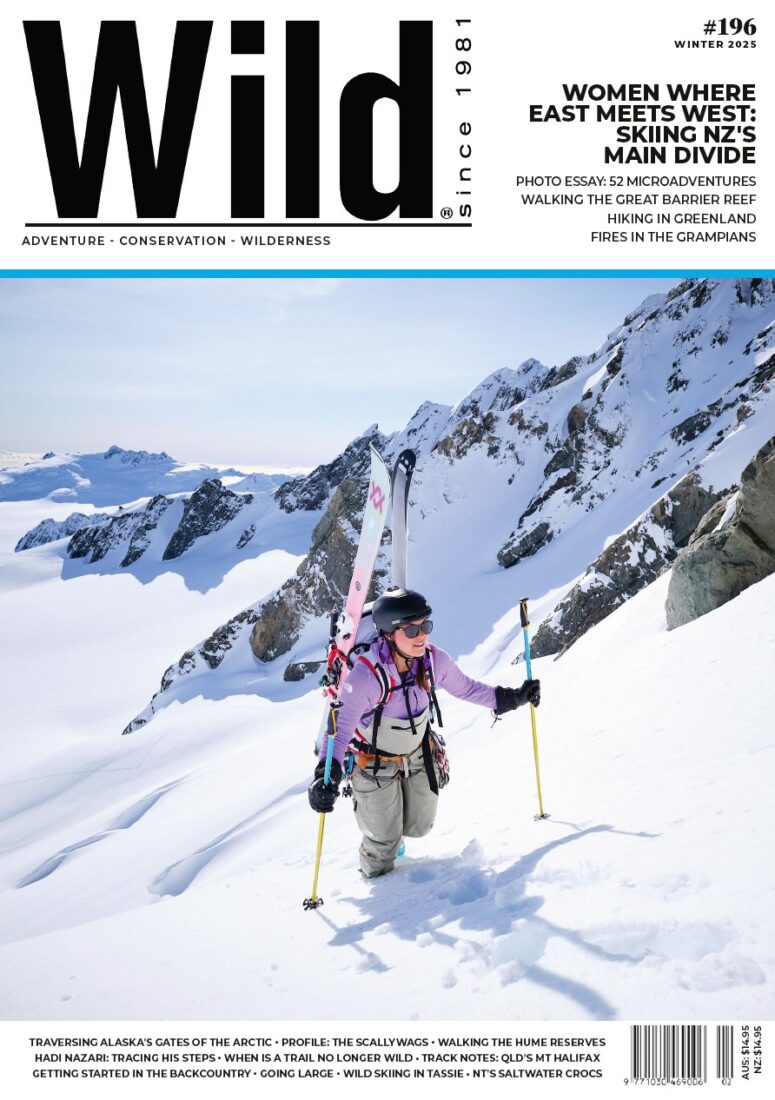 The Cover Shot – Wild #196 The Cover Shot – Wild #196