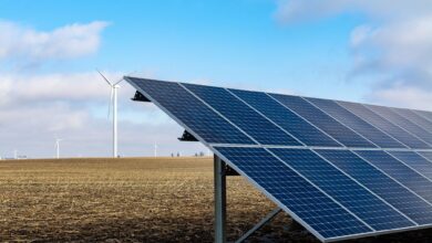 Rollins Prevents USDA from Funding Solar Panels on Prime Farmland