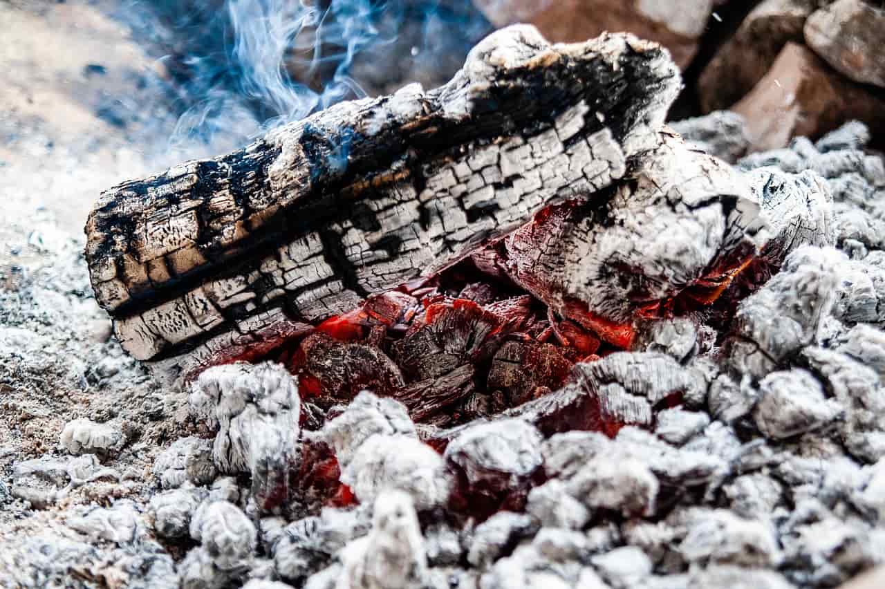 How to Make Wood Ash Fertilizer: 16 DIY Natural and Organic Recipes for Houseplants How to Make Wood Ash Fertilizer: 16 DIY Natural and Organic Recipes for Houseplants