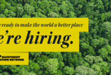 COMMUNICATIONS & DIGITAL SPECIALIST, JAPAN | スタッフ募集：コミュニケーション＆デジタルスペシャリスト（日本担当）