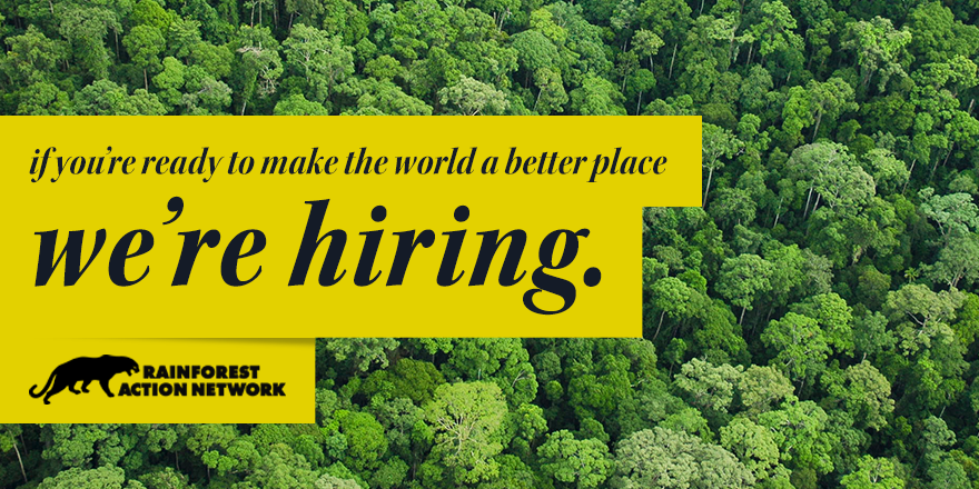 COMMUNICATIONS & DIGITAL SPECIALIST, JAPAN | スタッフ募集：コミュニケーション＆デジタルスペシャリスト（日本担当）