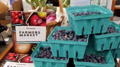 How Libraries Are Creating Community Through Food
