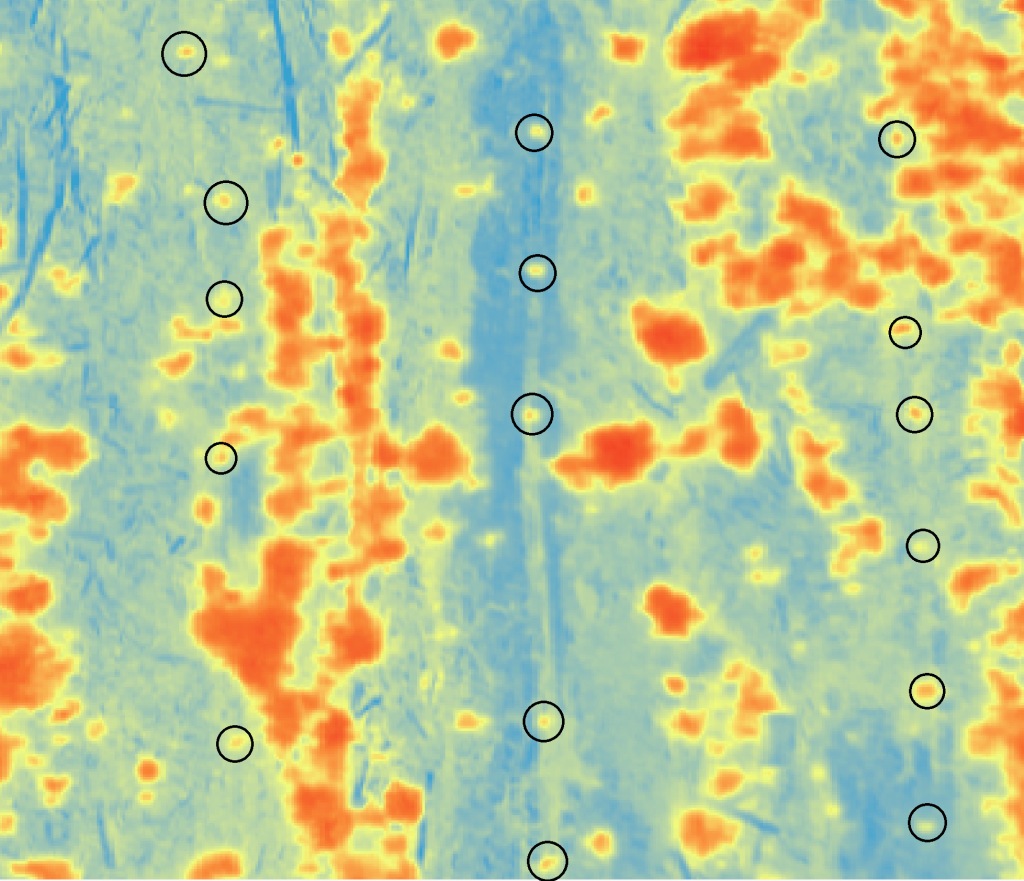 Aerial Photogrammetry – The Forest Technology Blog Aerial Photogrammetry – The Forest Technology Blog