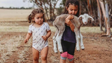 5 key reasons why animals are important in kids’ lives – George the Farmer