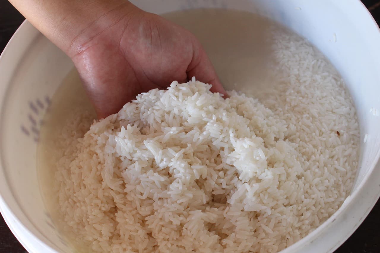 How to Make Homemade Fertilizer from Rice Water: 12 DIY Organic Recipes for Houseplants How to Make Homemade Fertilizer from Rice Water: 12 DIY Organic Recipes for Houseplants