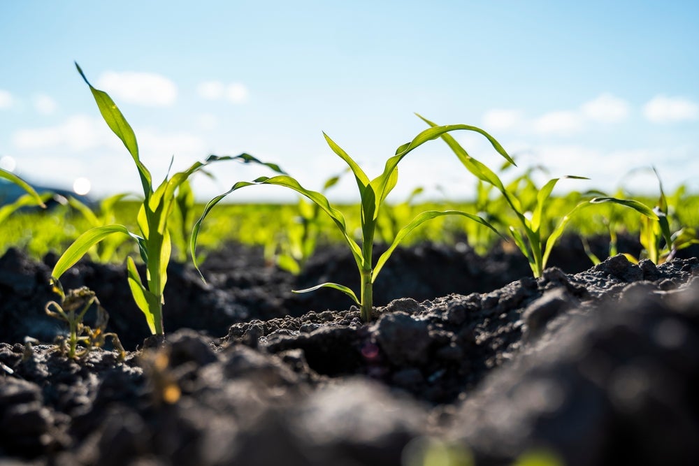 Why Do Farmers Rotate Crops? Why Do Farmers Rotate Crops?