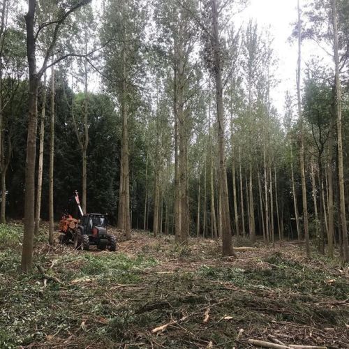 Almost finished, glad it’s Friday though 🍻
#forestry #valtra… Almost finished, glad it’s Friday though 🍻
#forestry #valtra…