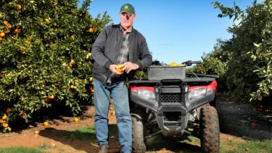 Industry expert update: Mark Doecke